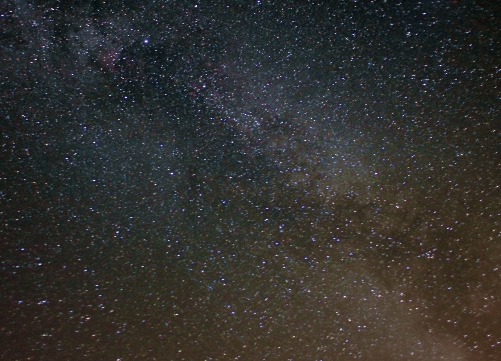 Cygnus Starfield