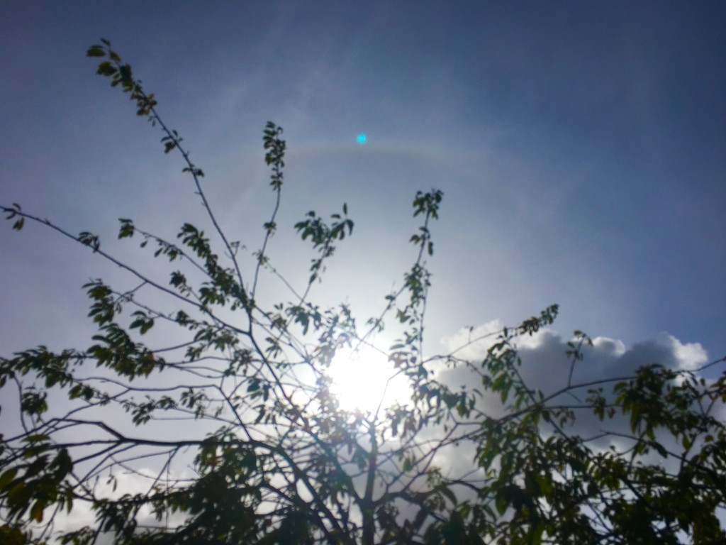 solar halo & tangential arch
